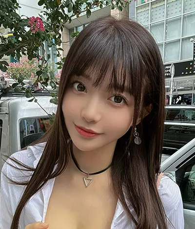 雾港谜案 热播电视剧全集手机免费在线观看